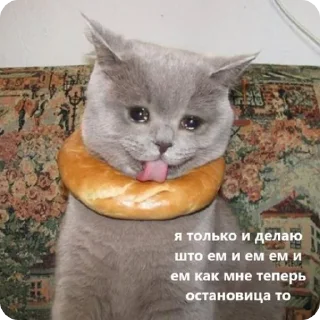 🥲