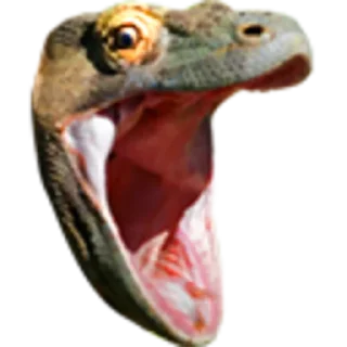 😮