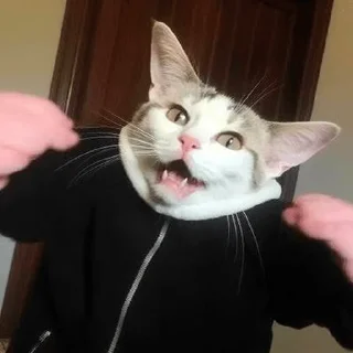 😤