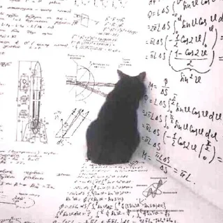 😺