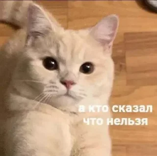 🙅‍♂️
