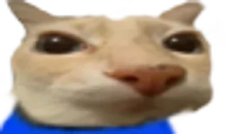 🙍‍♂️