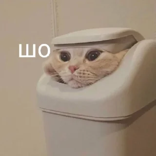 🤨
