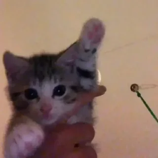 👋