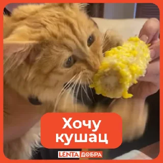 🍟