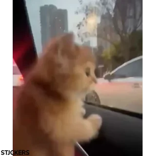 🙂