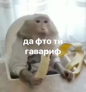 🙈