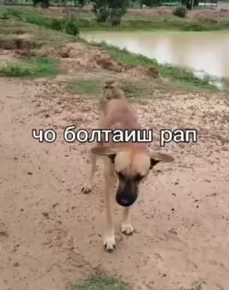 😏