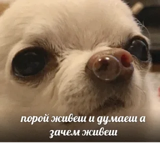 😕
