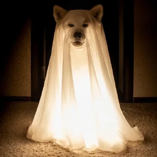 👻