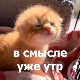 🥱