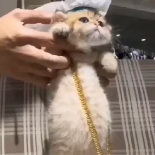 🤩