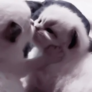 😘