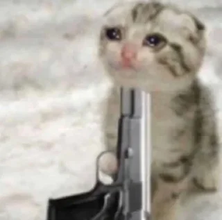 😭