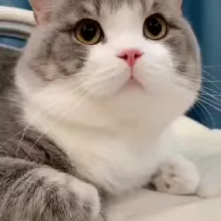 😙