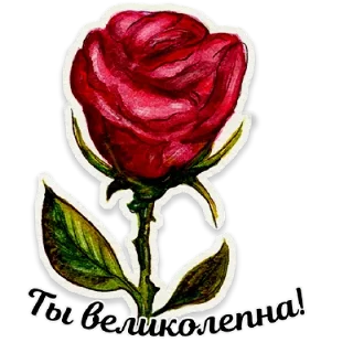 🌹