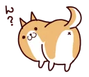 🐶