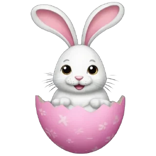 🐰