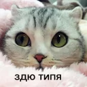 😉