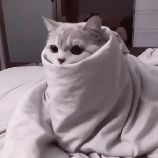 😶