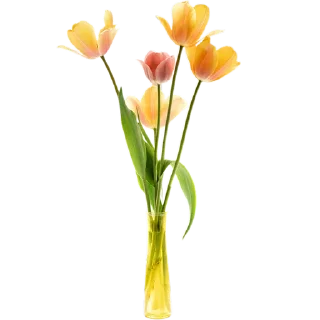 💐
