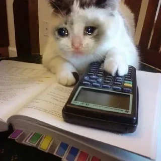 💴