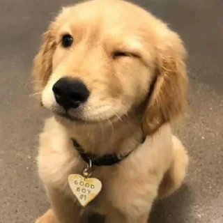 😉