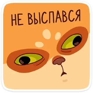 😴