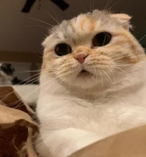 😳