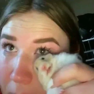 😢