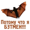 ✈