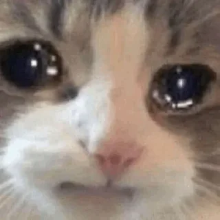 😔