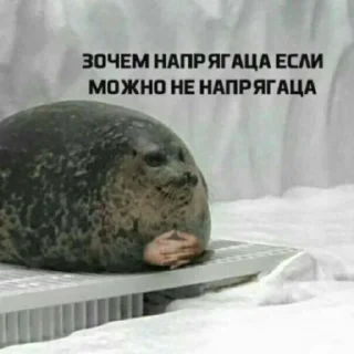 🧐