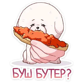 🥪