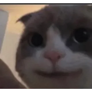 🙂