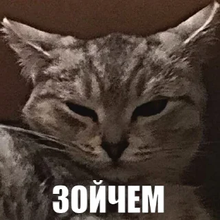 🤨