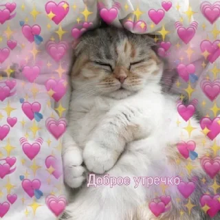 🌞