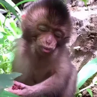 😴