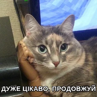 😒