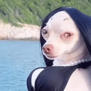 😏