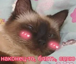 😴