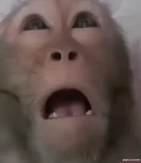 😱