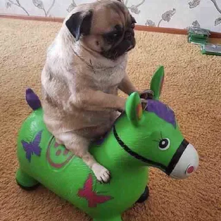 🐴
