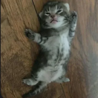 😴