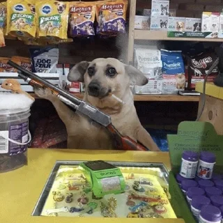 🔫