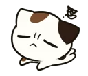 🐱