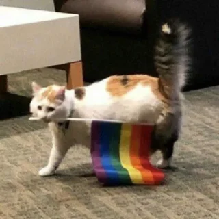 🌈