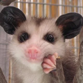 😊