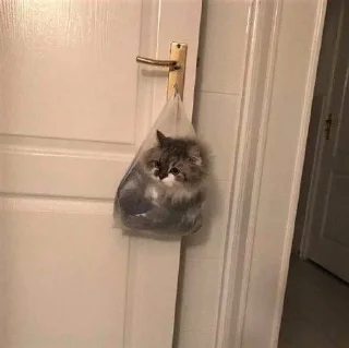 😶