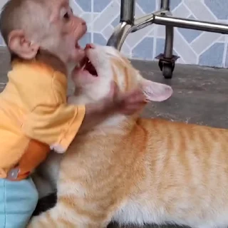 🙈